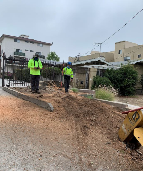 Bel Air Guest Home Brings Therapy to Landscape with New Garden